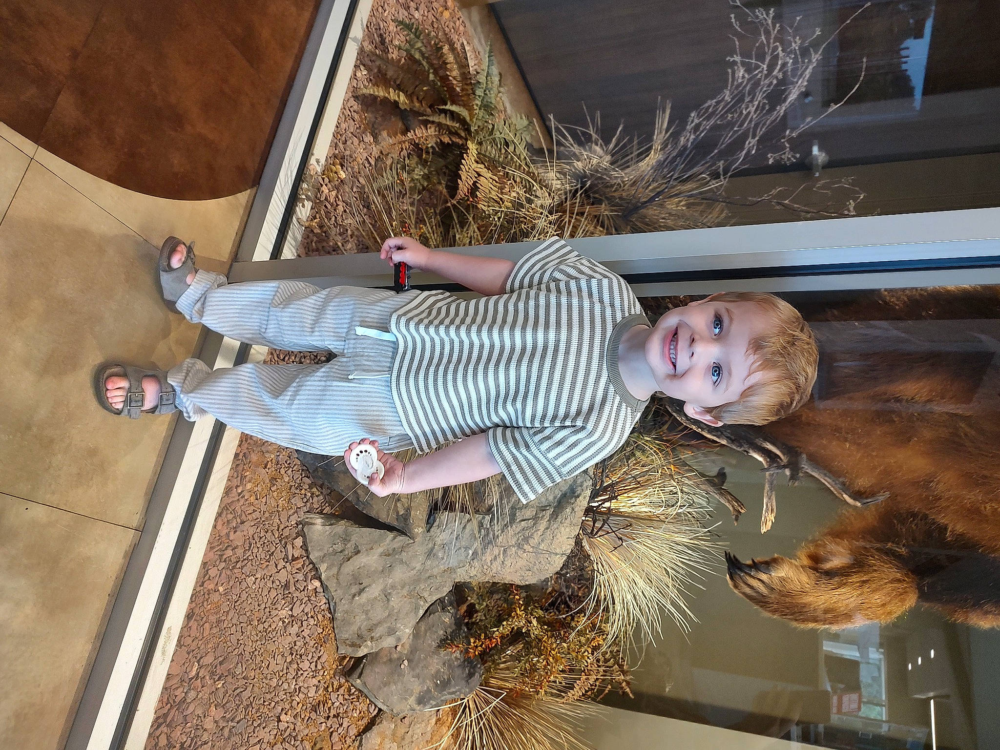 Sampson-jacob is registered to the contest to win money with this photo: child, fun, fur, joy, landscape, leisure, person, soil, toddler, tree, wood