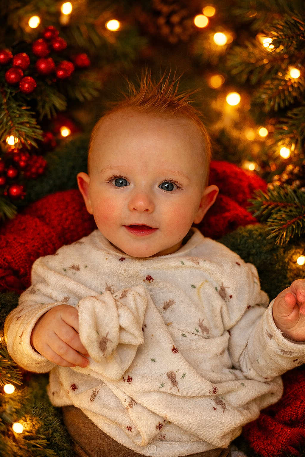 Adrian participe au concours pour gagner de l'argent avec cette photo : baby, infant, child, christmas, holiday, twinkle_lights, bokeh, pine_branch, red_berries, cozy_blanket, onesie, portrait, blue_eyes, rosy_cheeks, hands, smile, soft_lighting, festive, indoor, close_up