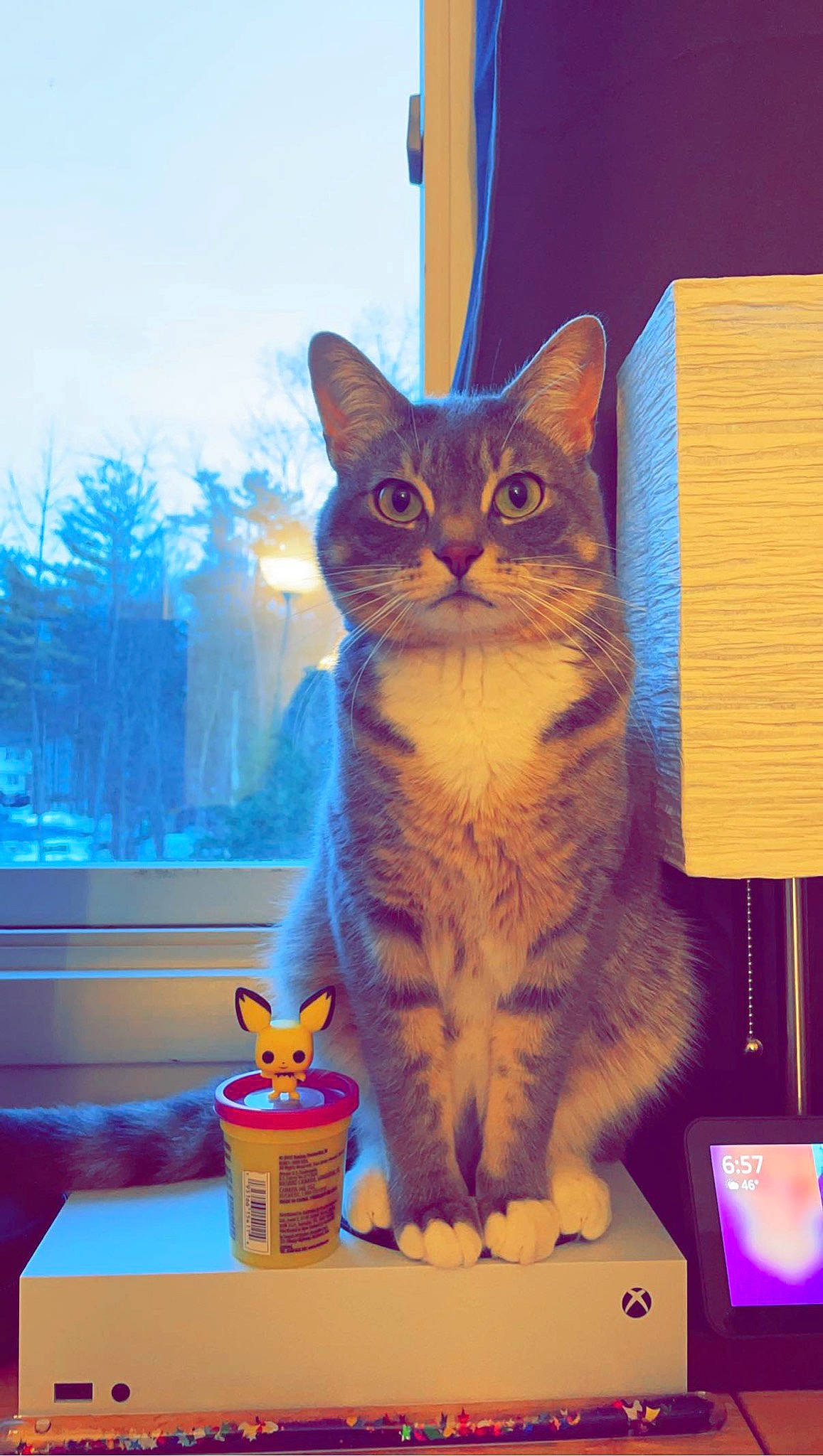 Retro joined the competition — help win amazing prizes! blue, carnivore, cat, cat_supply, domestic_short_haired_cat, felidae, fur, illustration, paw, plant, room, sitting, sky, small_to_medium_sized_cats, tail, tree, whiskers, window, wood