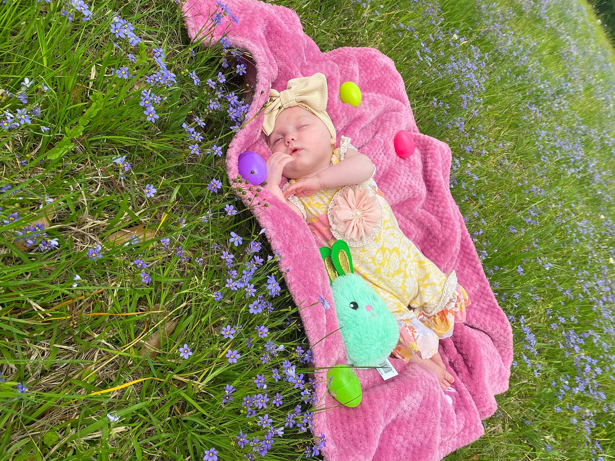 Magnolia joined the competition — help win amazing prizes! art, baby_toddler_clothing, botany, child, fashion_accessory, flower, garden, grass, green, happy, magenta, meadow, pattern, people_in_nature, person, petal, pink, plant, sleeve, spring