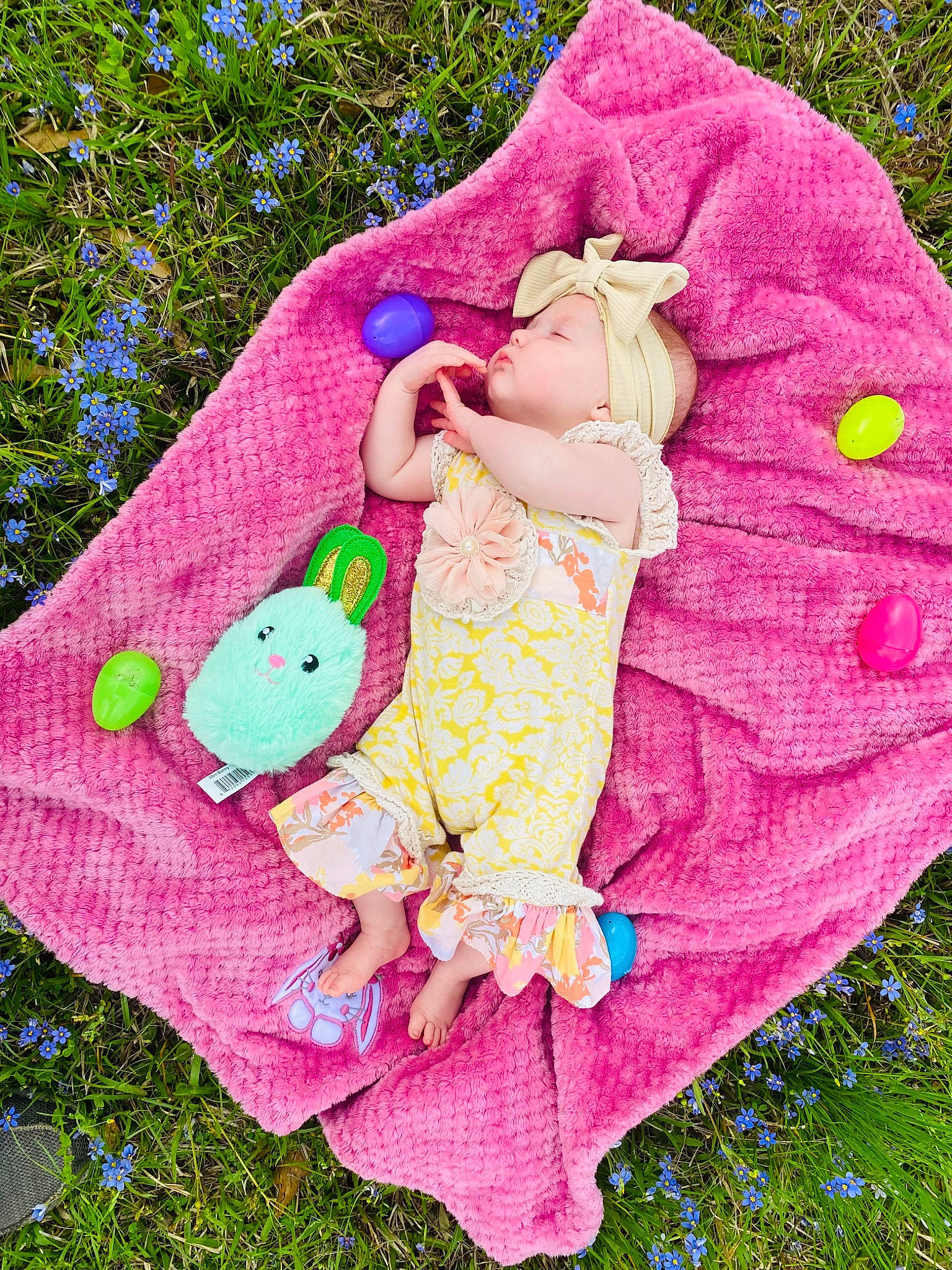 Magnolia is registered to the contest to win money with this photo: art, baby_products, baby_toddler_clothing, botany, child, fictional_character, garden, grass, linens, magenta, mammal, pattern, person, petal, pink, plant, pollinator, purple, textile, tree