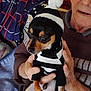 Felix a rejoint le concours — aidez-le/la à gagner de superbes lots ! dog, person, glasses, sweater, hat, pom_pom, hand, plaid_blanket, indoor, black_and_white, small_dog, pet_clothing, elderly, holding, cozy, fabric, face, animal, resting, portrait