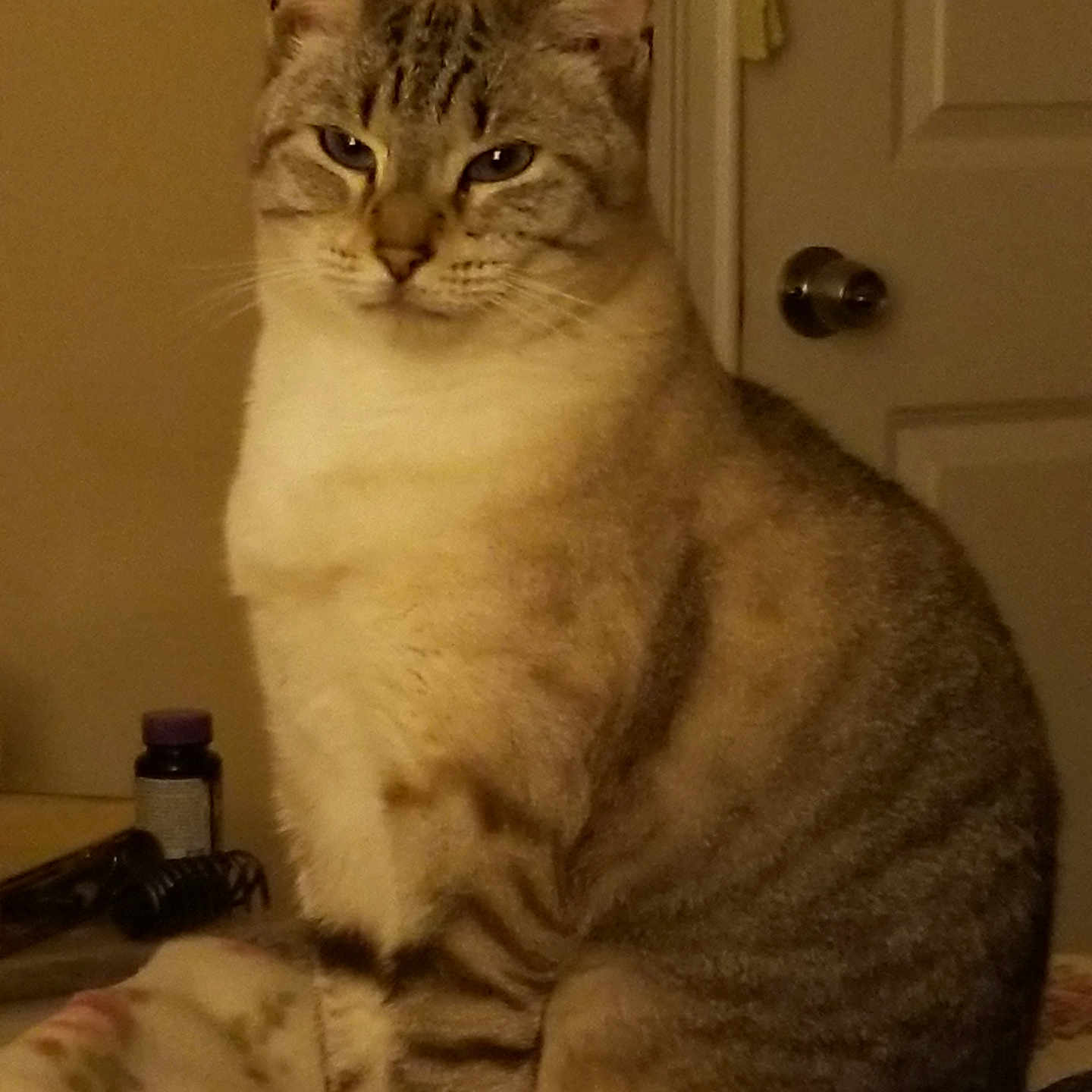 Luna