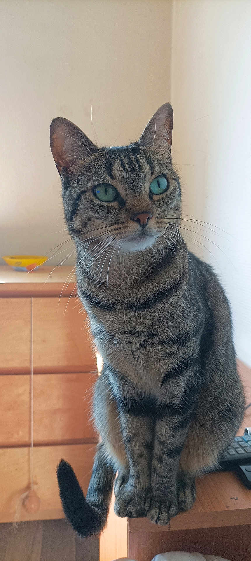 Praline