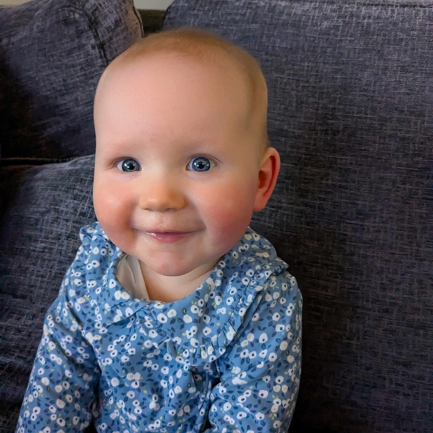 Charlotte joined the competition — help win amazing prizes! architecture, baby, building, chair, clothing, couch, cushion, face, furniture, happy, head, homedecor, longsleeve, pants, person, photography, portrait, sitting, sleeve, smile