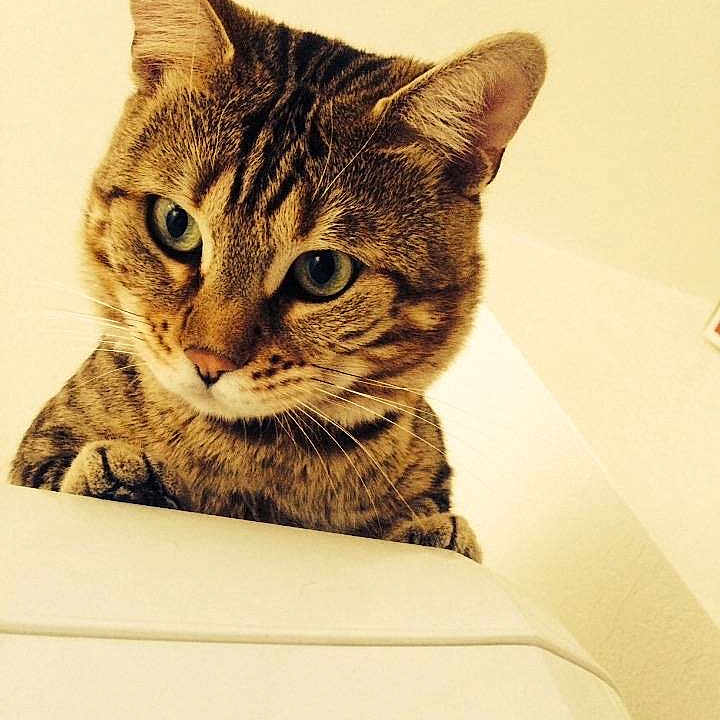 Milow