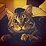 Milow participe au concours pour gagner de l'argent avec cette photo :