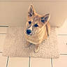 Inaya participe au concours pour gagner de l'argent avec cette photo :