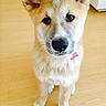 Inaya participe au concours pour gagner de l'argent avec cette photo :