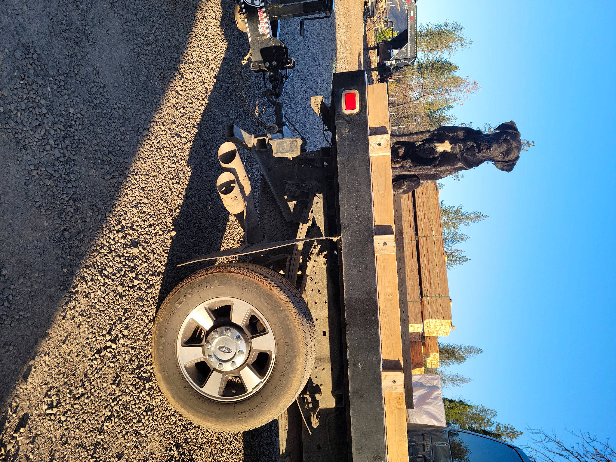 Buck joined the competition — help win amazing prizes! asphalt, auto_part, automotive_tire, automotive_wheel_system, circle, engineering, font, gas, light, metal, motor_vehicle, pole, public_utility, rim, road_surface, rolling, sculpture, sky, tree, wheel