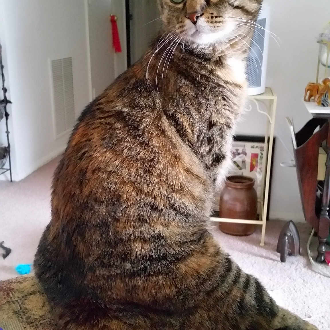 Gimpy