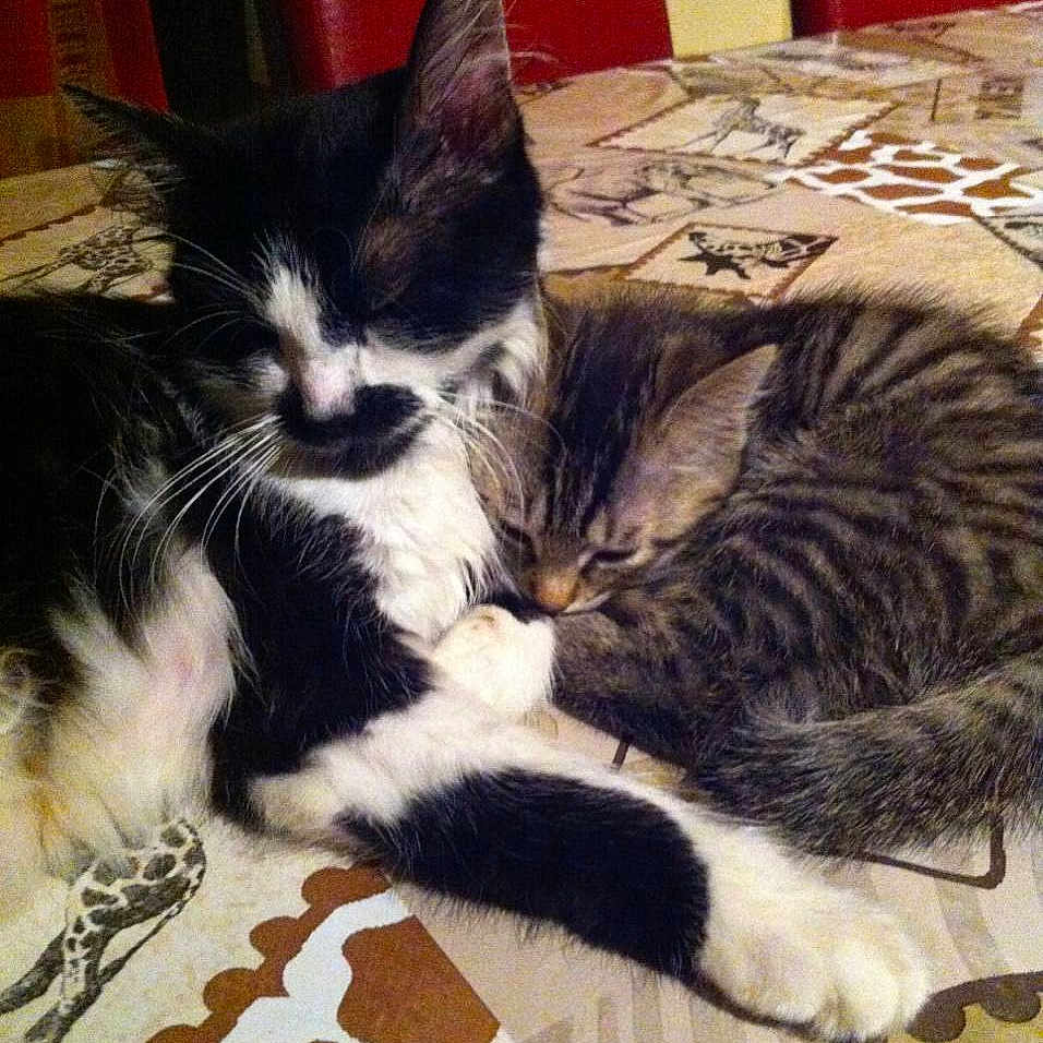 Princesse Et Choupinette is registered to the contest to win money with this photo: