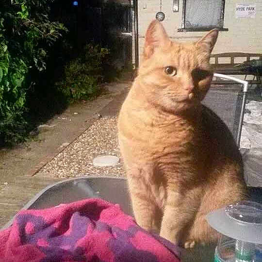 Wotsit is registered to the contest to win money with this photo: