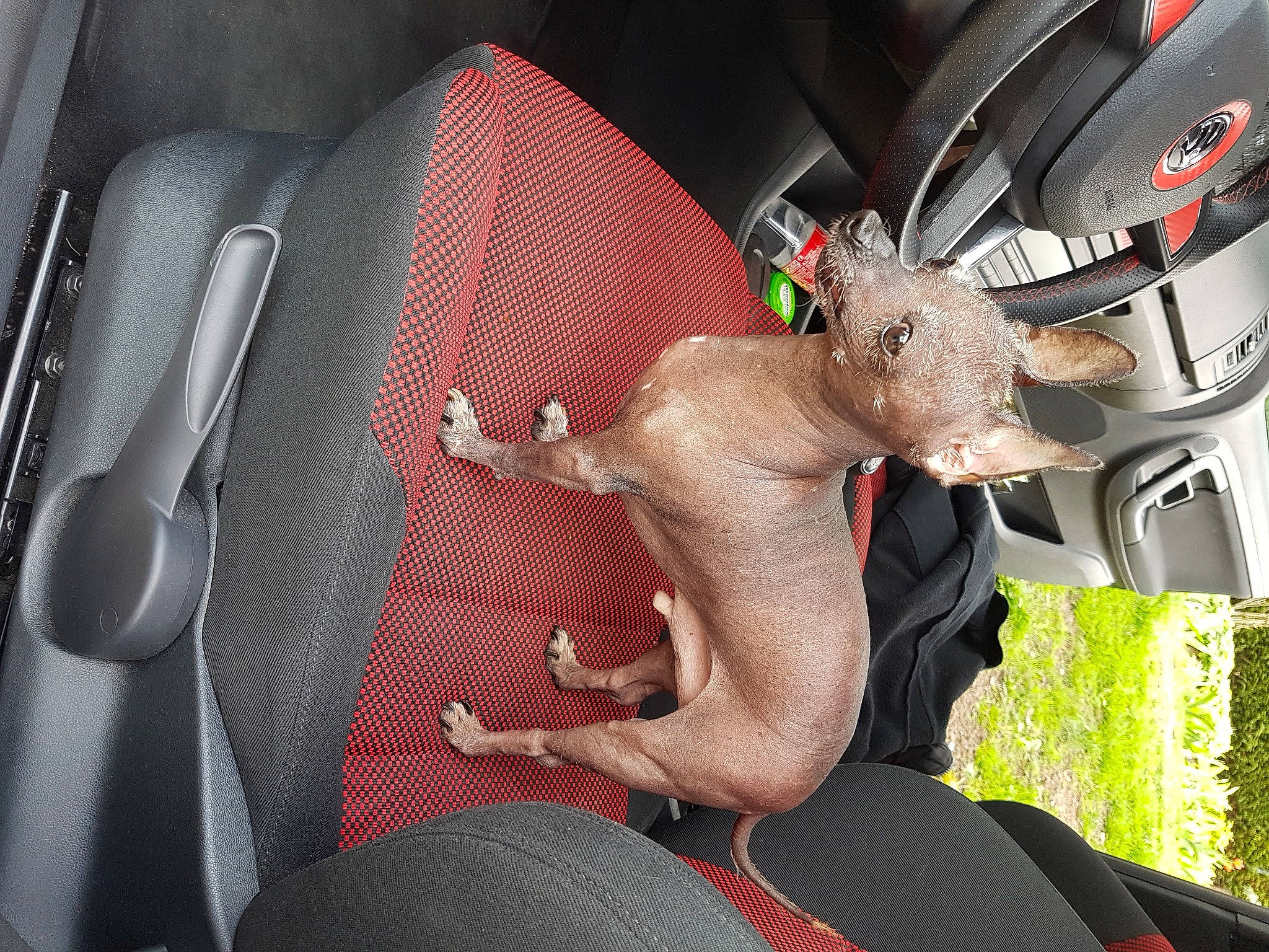 Harry participe au concours pour gagner de l'argent avec cette photo : armrest, car_seat, car_seat_cover, gear_shift, head_restraint, silver