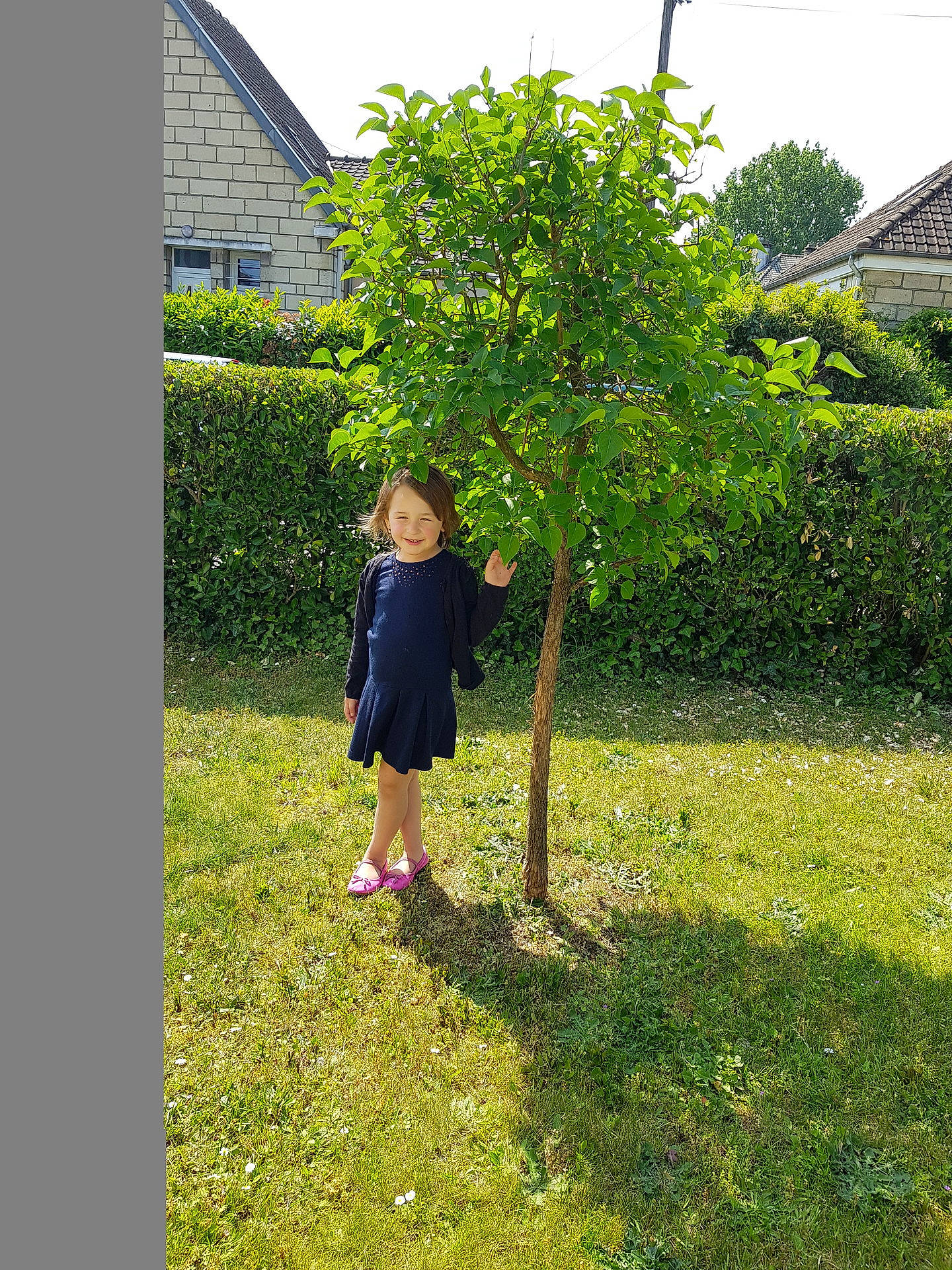 Rachel a rejoint le concours — aidez-le/la à gagner de superbes lots ! branch, evergreen, flora, flower, flowering_plant, garden, grass, joy, leaf, person, plant, shrub, spring, tree, woody_plant, yard