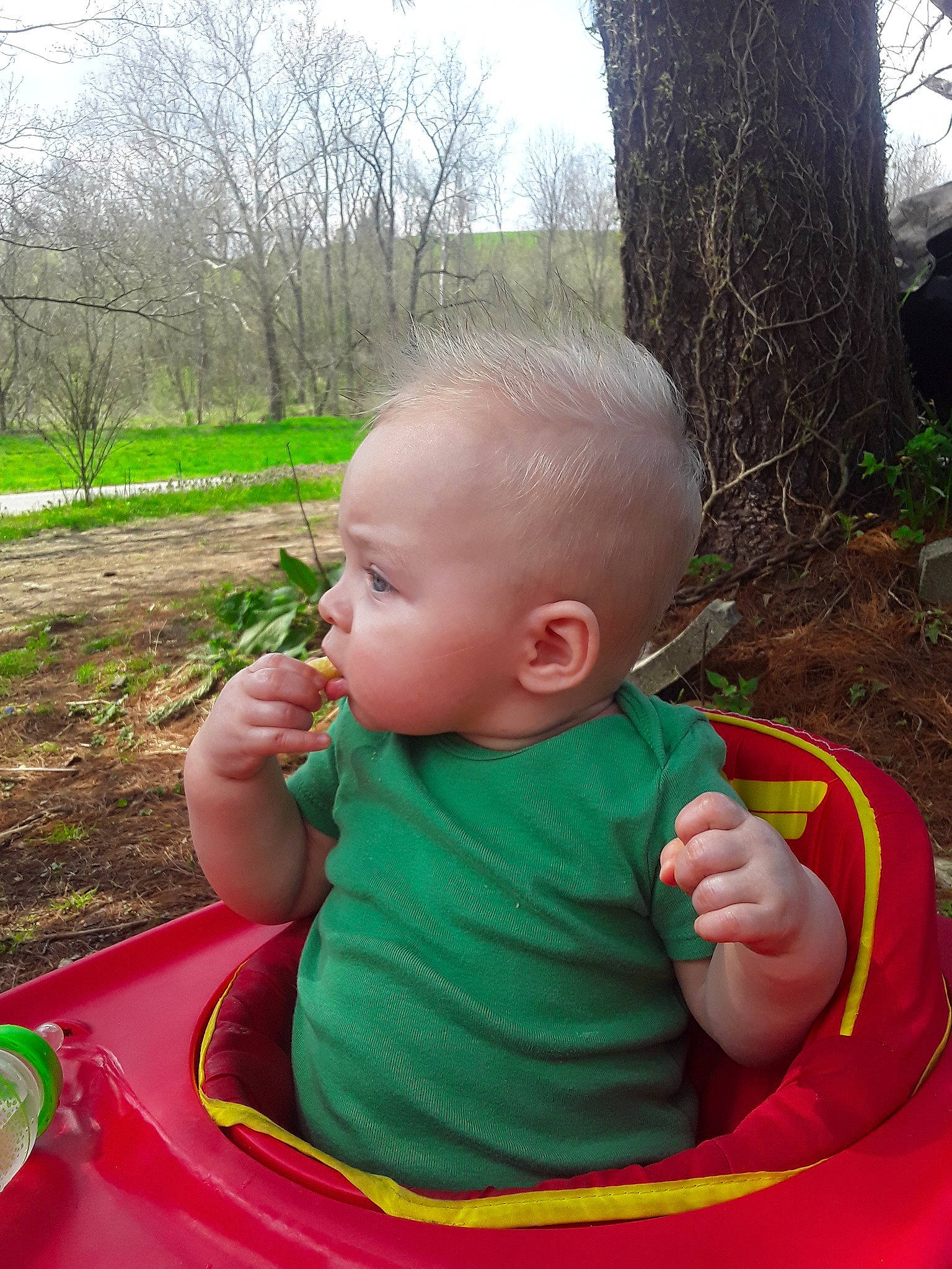 Ronan is registered to the contest to win money with this photo: baby, child, eating, grass, green, leaf, person, play, sitting, skin, toddler