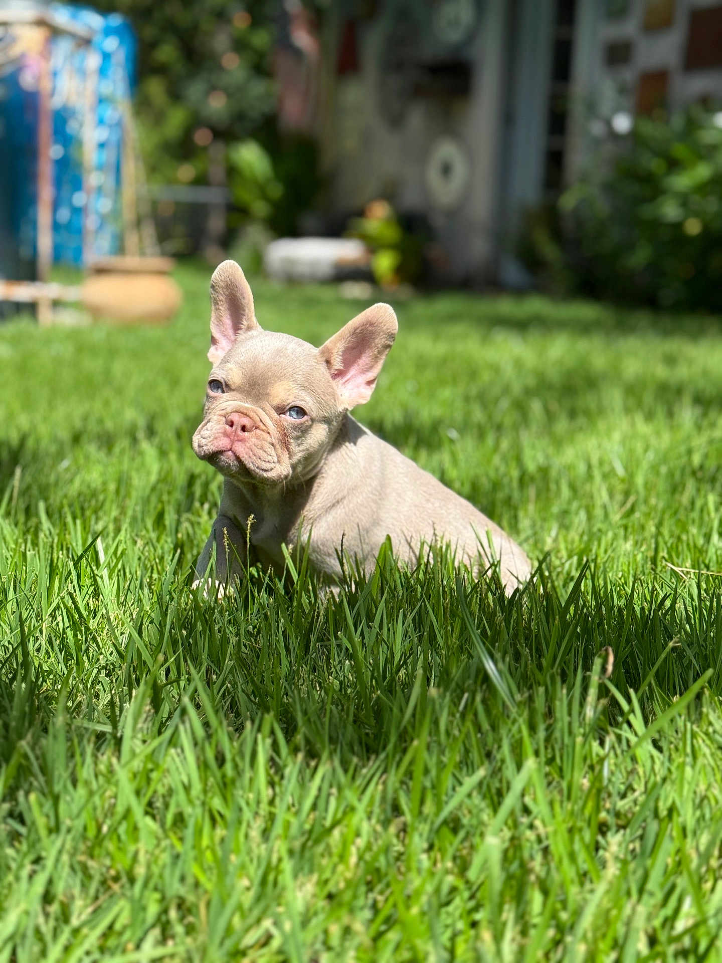 Zeus