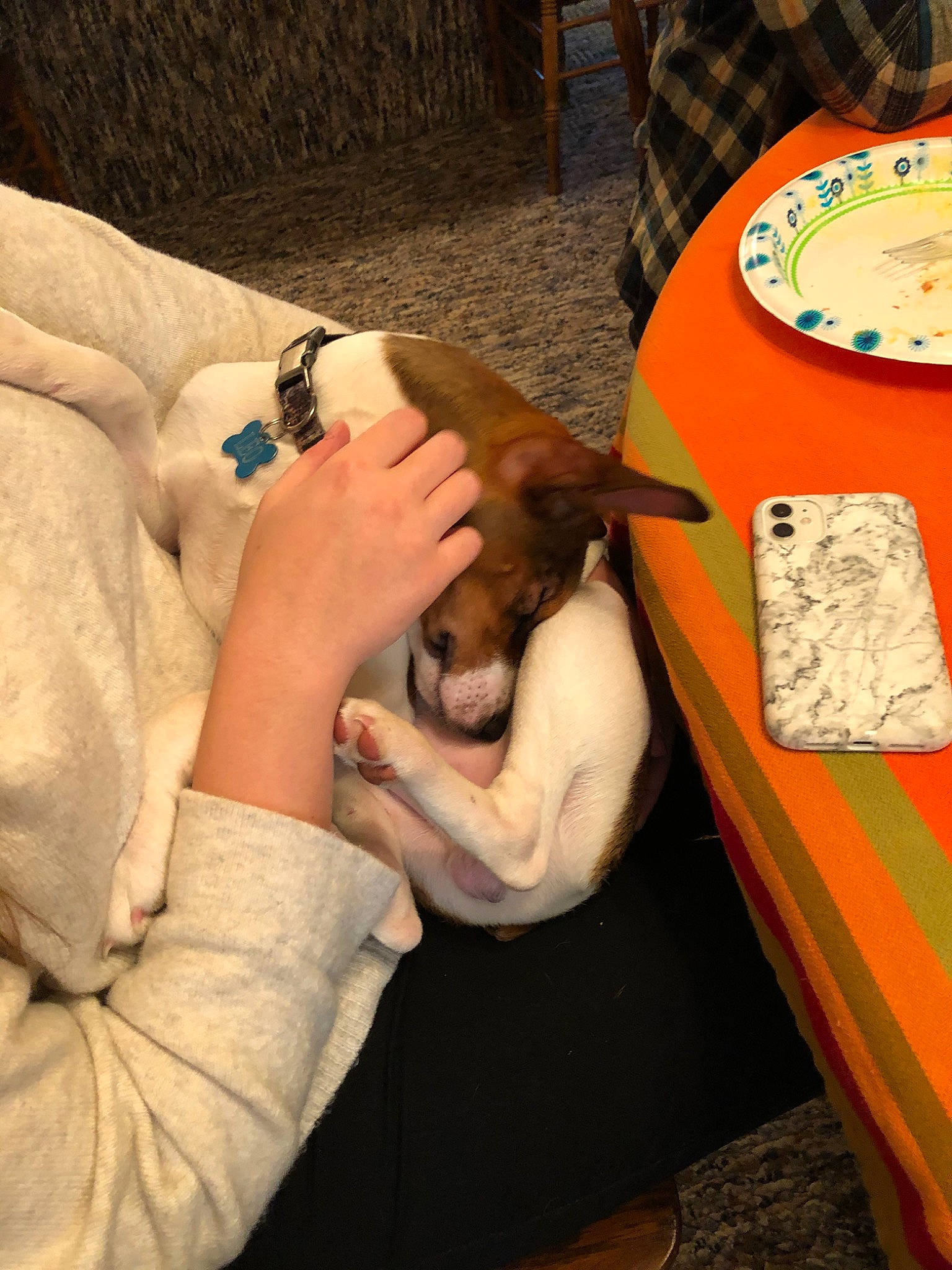 Leo joined the competition — help win amazing prizes! canidae, carnivore, nail