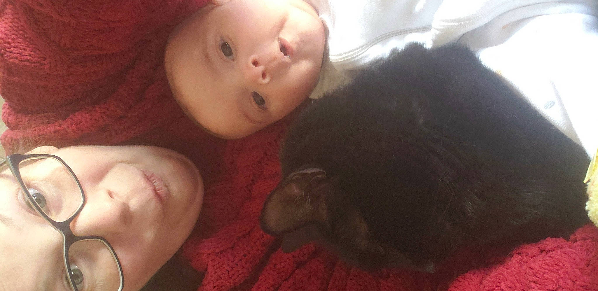 Juliana is registered to the contest to win money with this photo: cheek, chin, comfort, ear, eyebrow, eyelash, flash_photography, forehead, gesture, happy, head, iris, lip, mammal, mouth, neck, nose, person, skin, smile