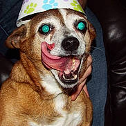 Sophie joined the competition — help win amazing prizes!