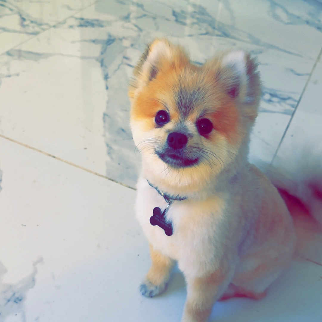 Bruno