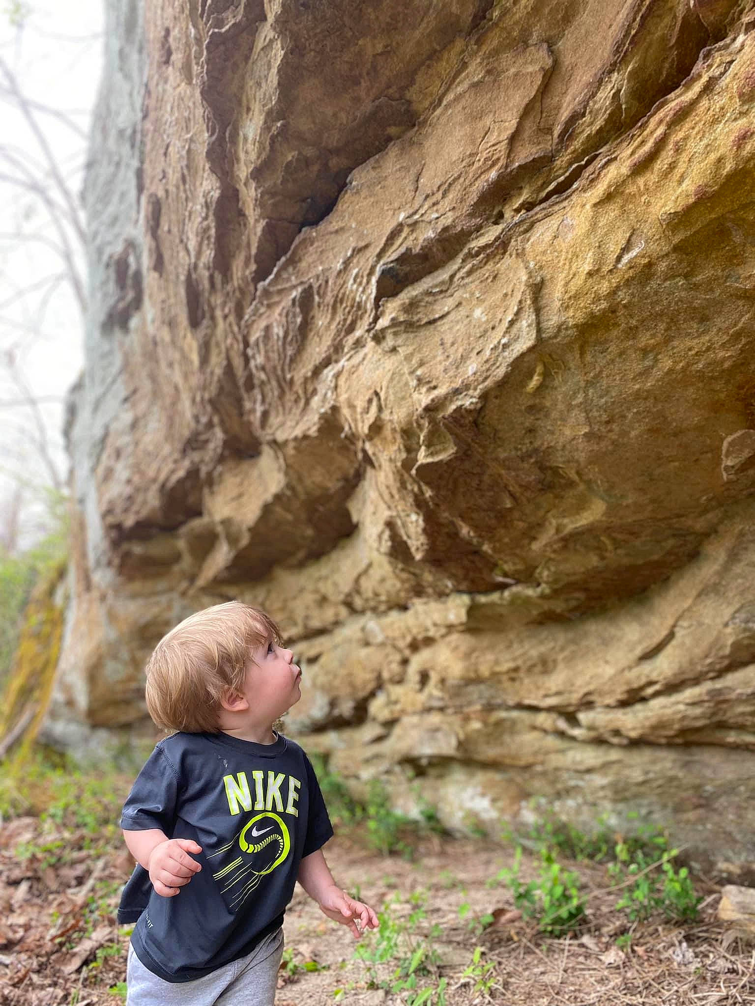 Titus is registered to the contest to win money with this photo: adventure, bedrock, erosion, escarpment, fault, formation, geology, landscape, leisure, outcrop, people_in_nature, person, plant, recreation, rock, soil, t_shirt, toddler, tree, trunk