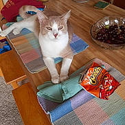 Taz is registered to the contest to win money with this photo: bench, carpet, cat, cheetos, cherries, feline, food, fur, indoor, jars, kitchen, napkin, pasta, pet, placemat, relaxed, snack, table, towel, wooden_table