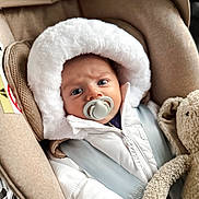Oliver is registered to the contest to win money with this photo: baby, car_seat, pacifier, white_jacket, hood, teddy_bear, child, infant, seatbelt, fur, cute, portrait, indoor, warm_clothing, expression, closeup, comfort, soft_toy, young_child, safety