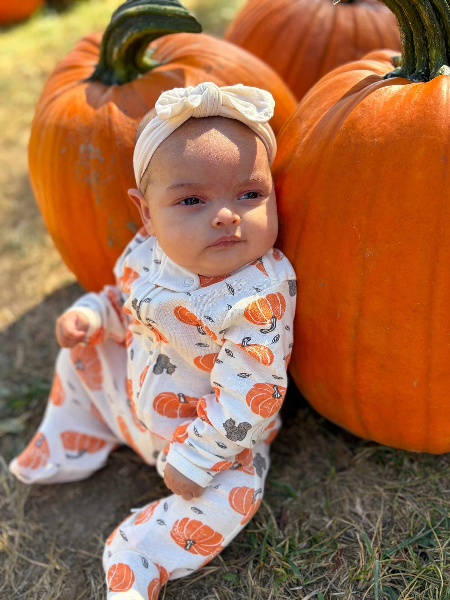 Raelynn