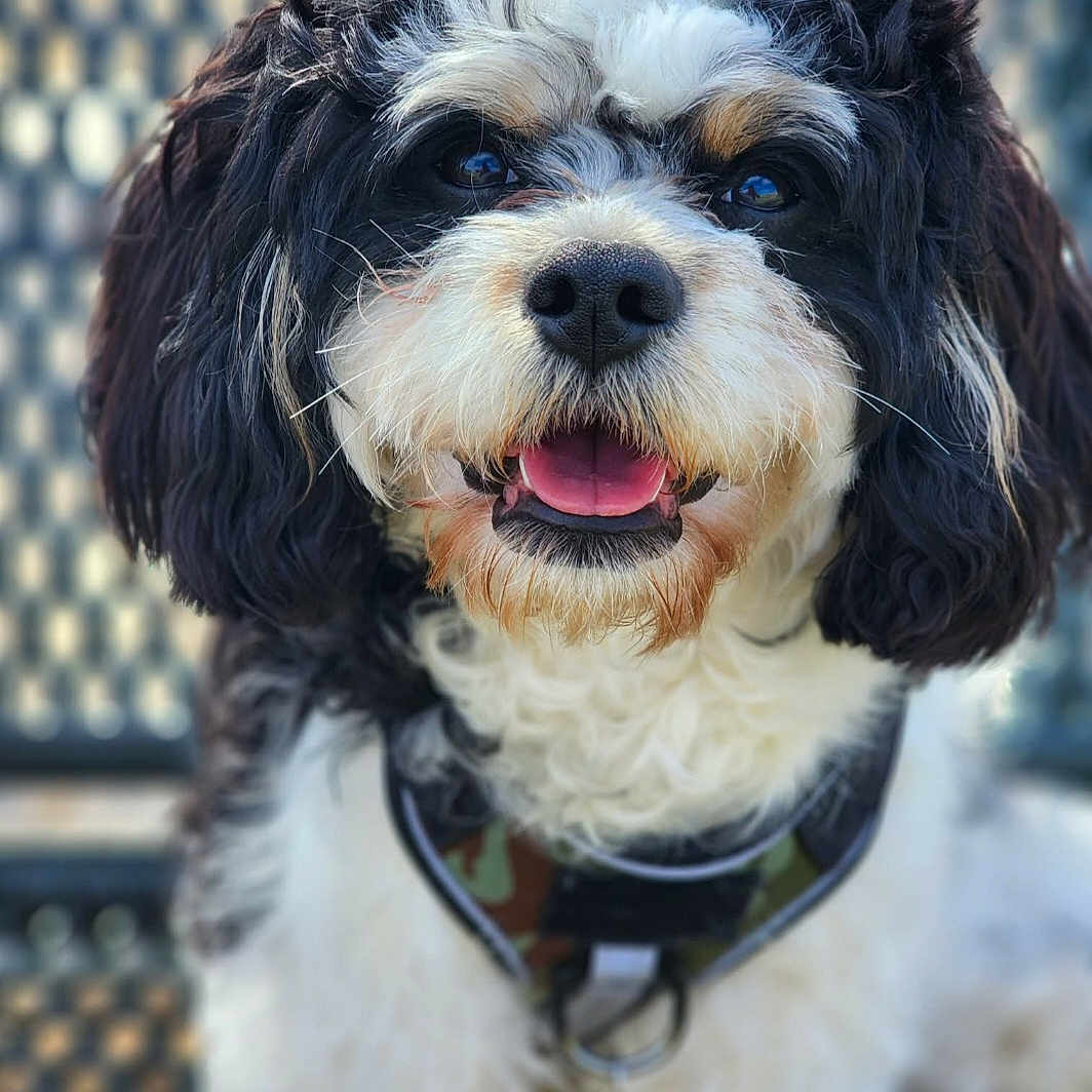 Jax
