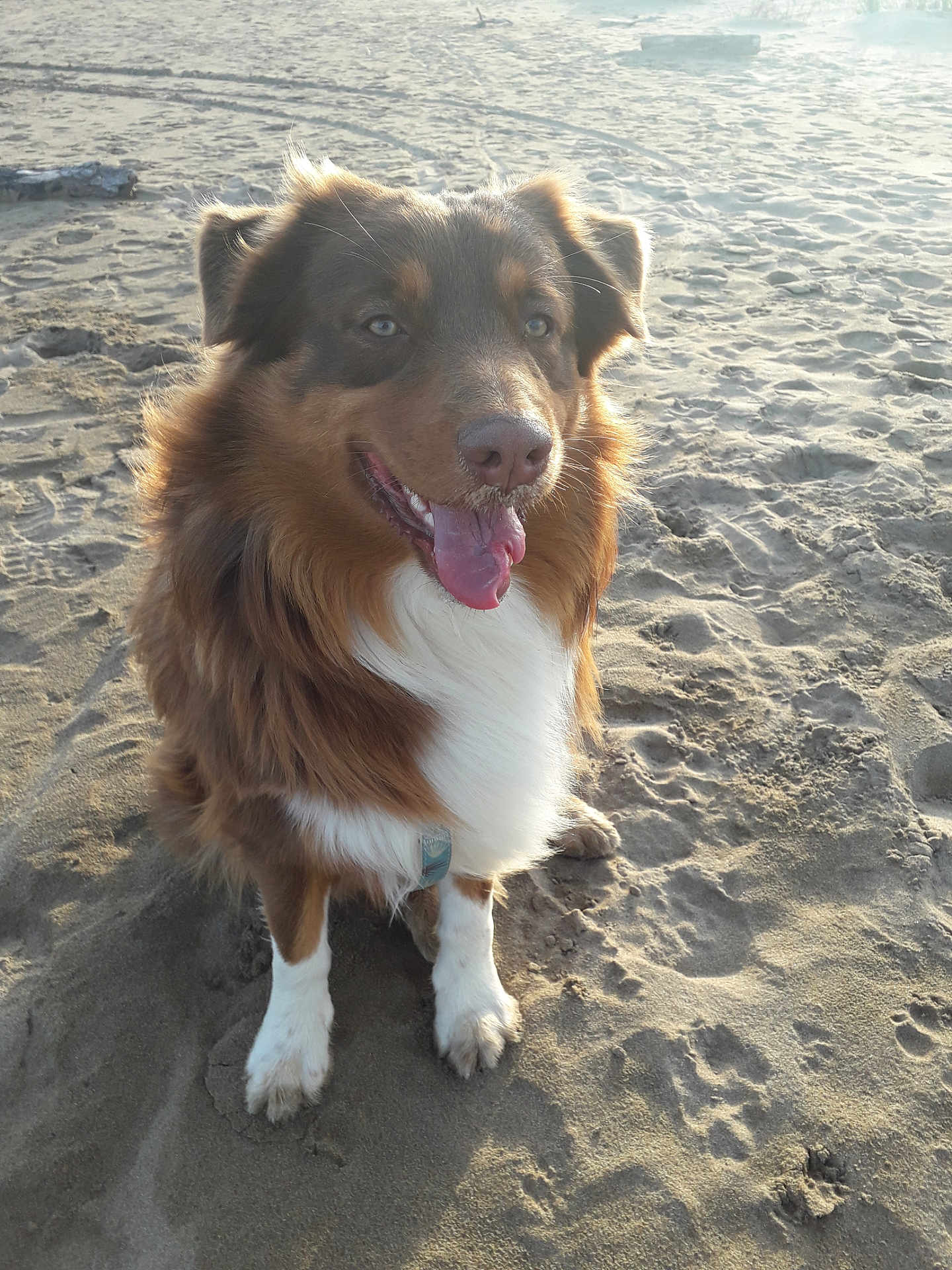 Ugo