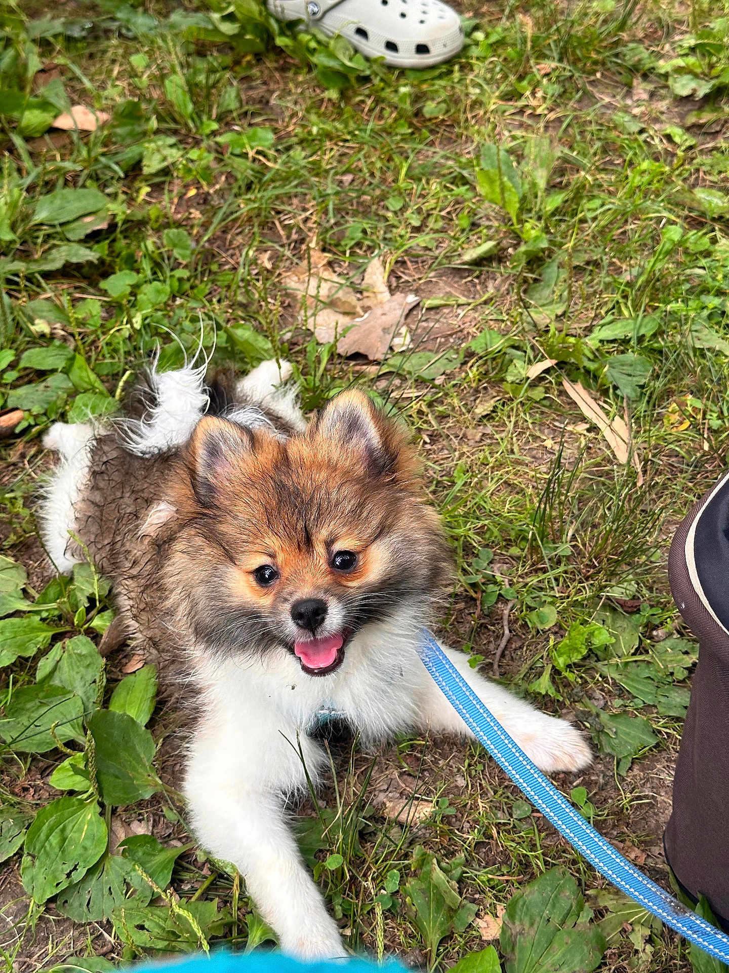 Coco