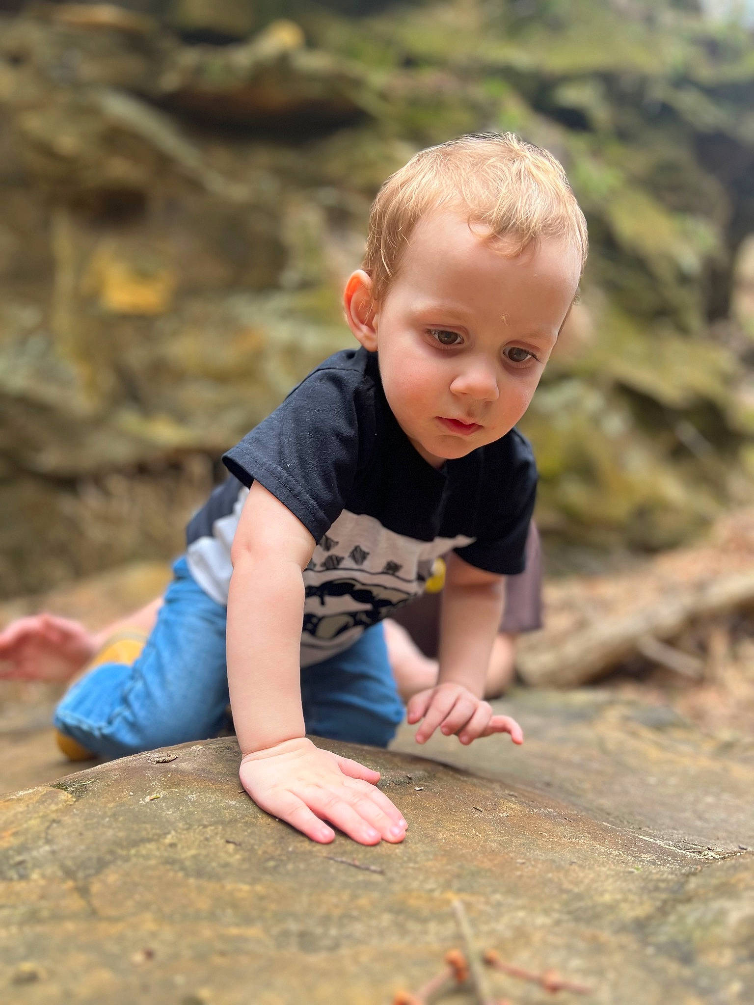 Malcolm is registered to the contest to win money with this photo: child, eye, facial_expression, flash_photography, fun, grass, hand, happy, landscape, leaf, leisure, people_in_nature, person, plant, recreation, sitting, standing, t_shirt, toddler, tree