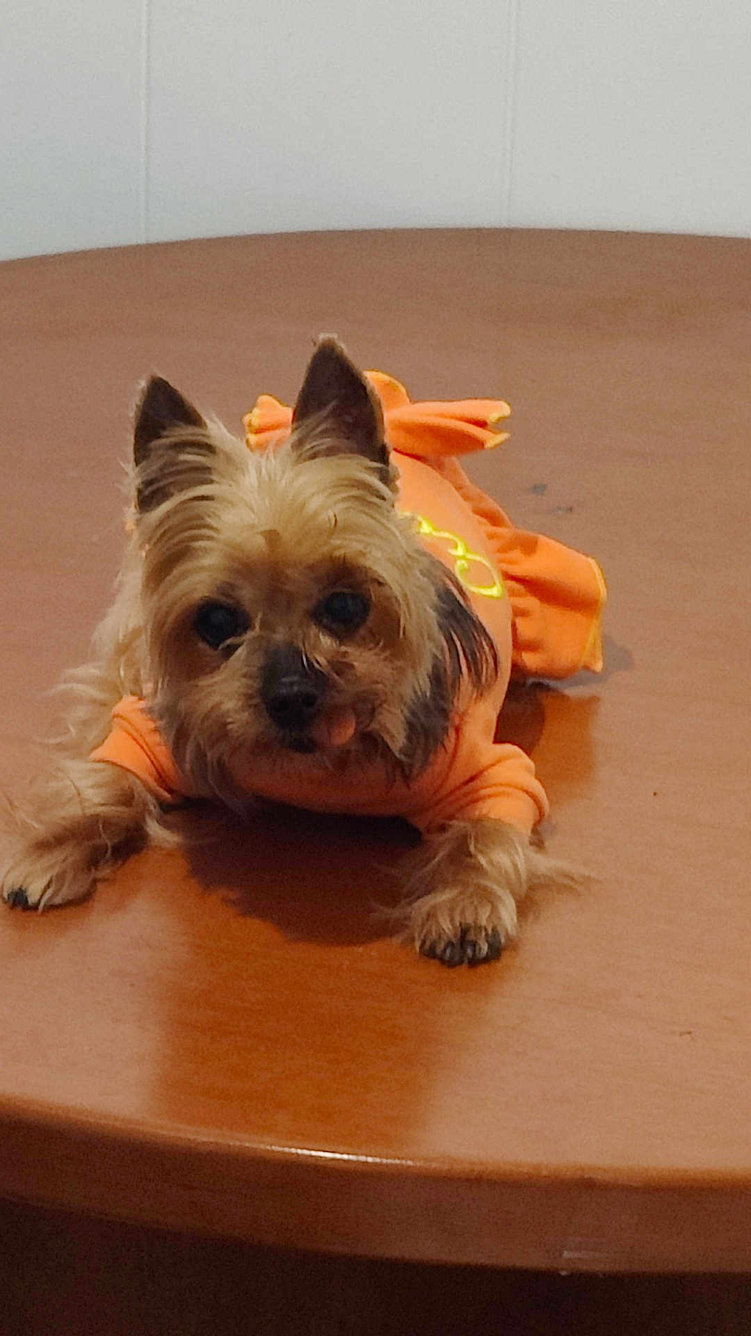 Pebbles
