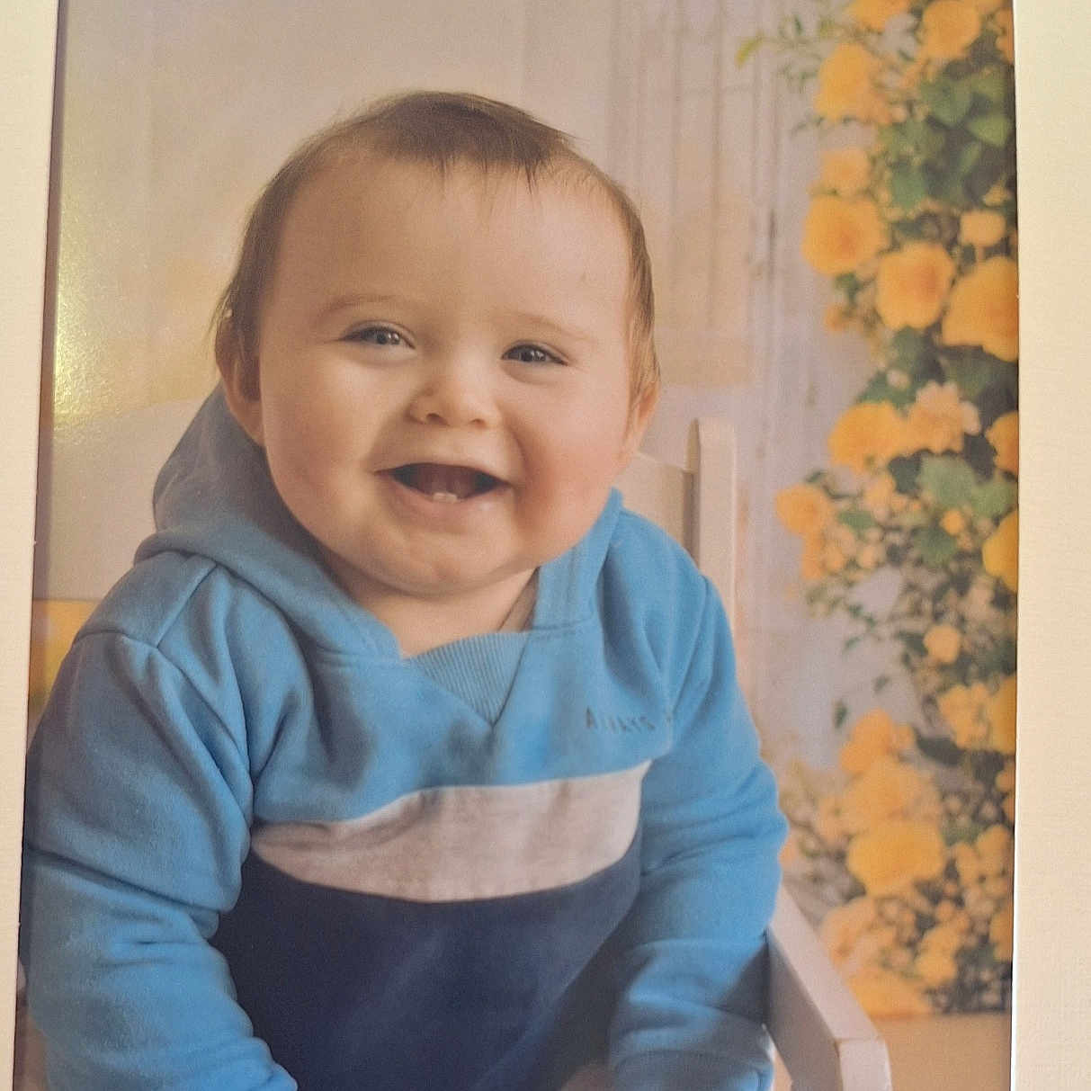 Reese joined the competition — help win amazing prizes! baby, background, blue_hoodie, casual, child, clothing, cute, face, flower_bush, hands, happy, indoor, infant, photograph, portrait, sitting, smiling, white_chair, yellow_flowers, young_child