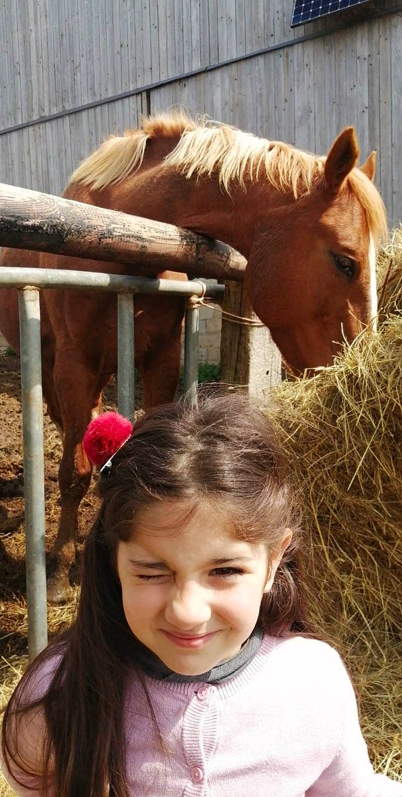 Ilyana participe au concours pour gagner de l'argent avec cette photo : fawn, fence, grass, happy, horse, horse_supplies, joy, landscape, liver, livestock, mammal, pack_animal, person, photograph, snapshot, snout, sorrel, stable, toddler, vertebrate