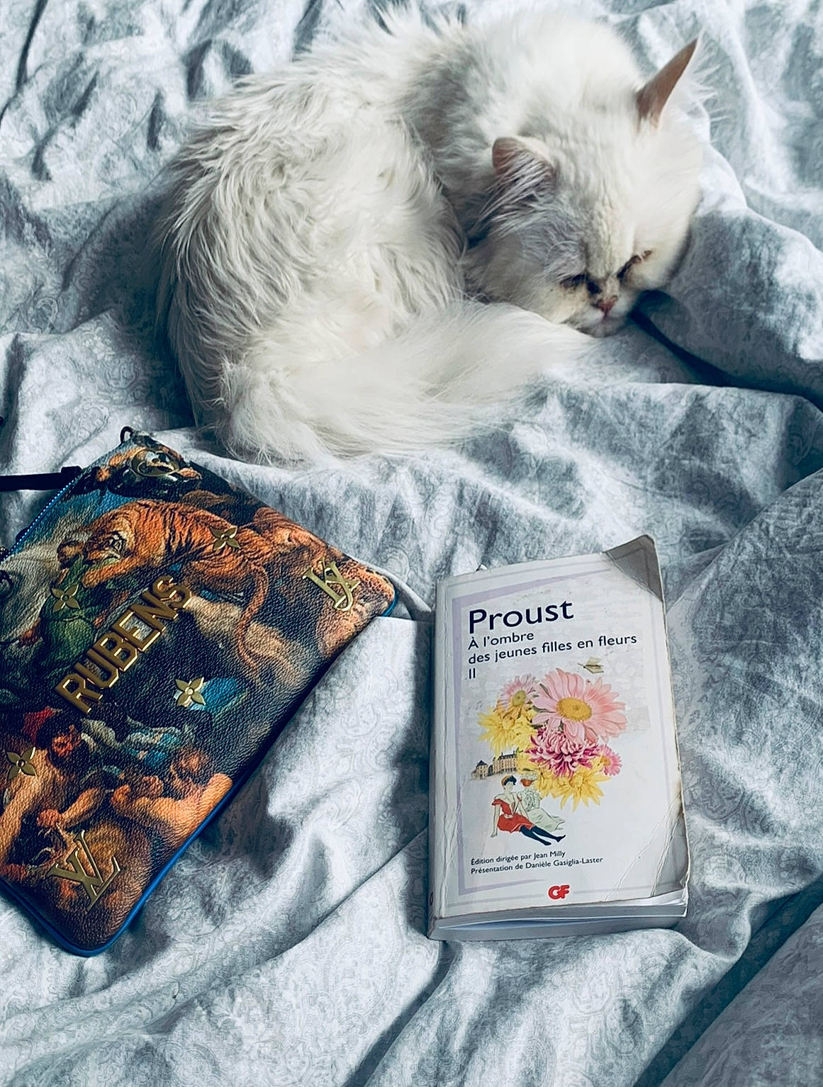 Boo participe au concours pour gagner de l'argent avec cette photo : baby_toddler_clothing, book, carnivore, cat, comfort, domestic_short_haired_cat, fashion_accessory, felidae, font, fur, linens, nap, paw, publication, small_to_medium_sized_cats, t_shirt, tail, whiskers