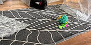 Sammi joined the competition — help win amazing prizes! abyssinian, animal, applique, bag, blackcat, cat, den, hardwood, homedecor, indoors, interiordesign, manx, pattern, pet, plastic, plasticbag, quilt, rug, sphere, wood