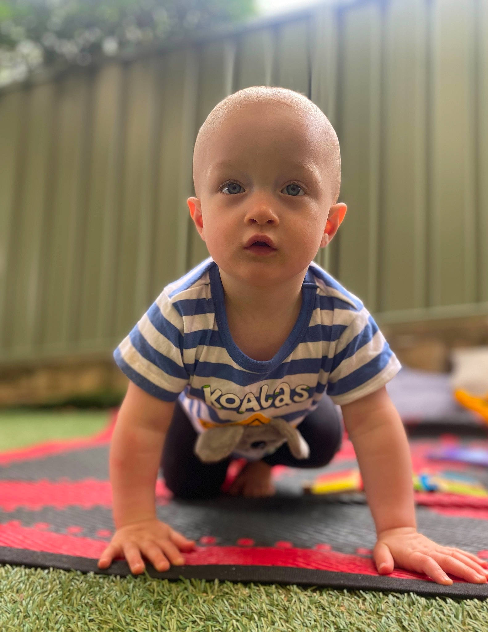 Abel joined the competition — help win amazing prizes! baby, baby_toddler_clothing, carmine, carpet, cheek, child, chin, crawling, floor, flooring, fun, grass, happy, hardwood, leisure, person, sitting, sleeve, t_shirt, toddler