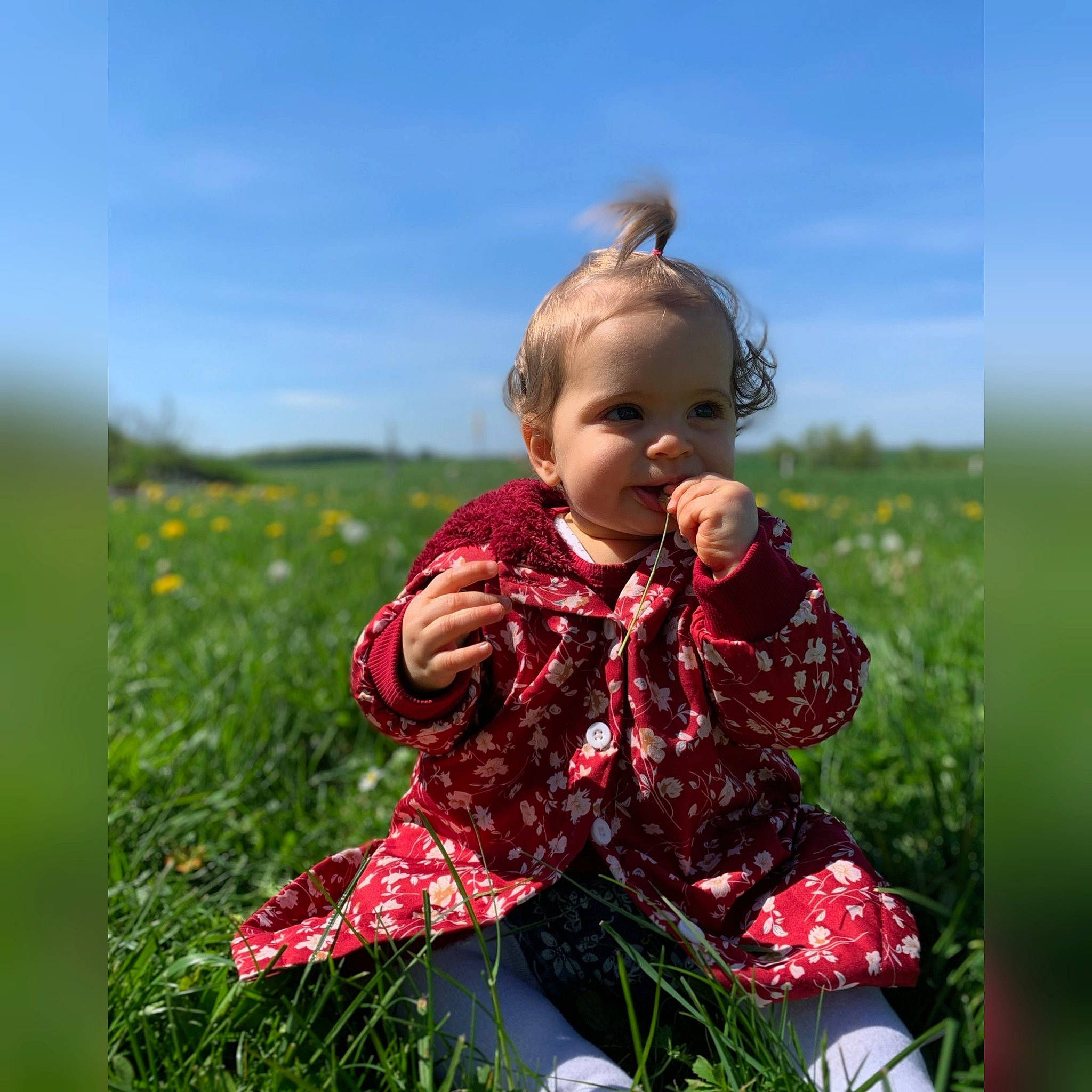 Livia a rejoint le concours — aidez-le/la à gagner de superbes lots ! baby, baby_toddler_clothing, child, field, flash_photography, flower, fun, grass, grass_family, grassland, happy, meadow, pattern, people_in_nature, person, plant, prairie, sitting, sky, smile