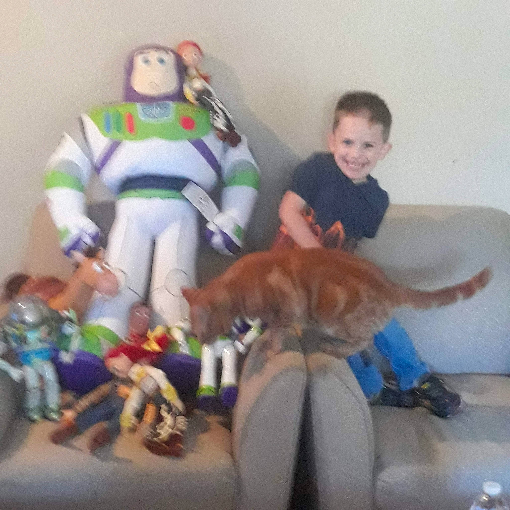 Noe Kabuskiey is registered to the contest to win money with this photo: carnivore, child, comfort, companion_dog, dog, dog_breed, event, fawn, fun, lap, leg, leisure, room, shoe, shorts, sitting, smile, sporting_group, thigh, toy