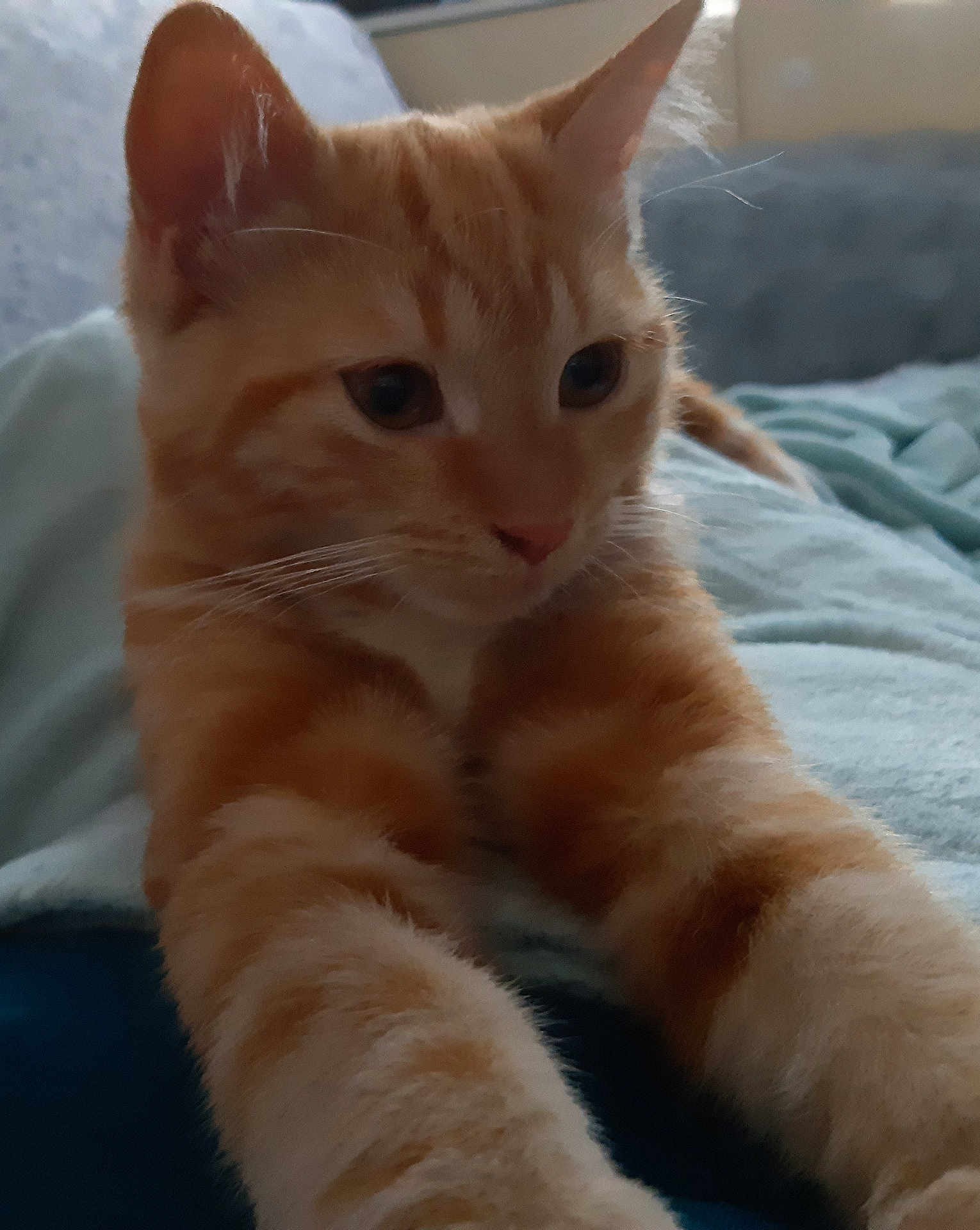 Oliver