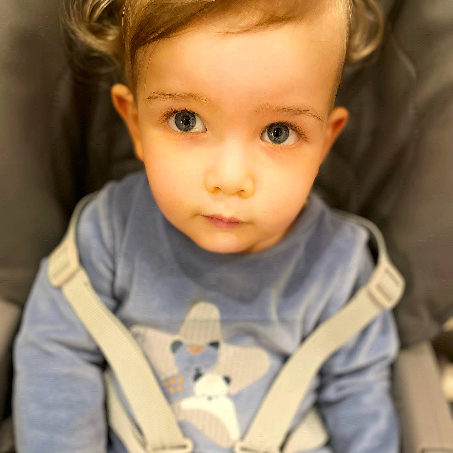 Roméo a rejoint le concours — aidez-le/la à gagner de superbes lots ! baby_toddler_clothing, cheek, chin, ear, eye, eyebrow, eyelash, forehead, hair, hairstyle, human_body, iris, lip, mammal, nose, organ, outerwear, person, skin, sleeve