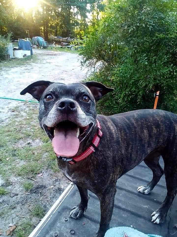Zoey