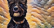 Milani is registered to the contest to win money with this photo: adorable, animal, artistic, black_dog, collar, colorful, cute, dog, domestic_animal, ears, floor, fur, indoor, looking_up, painting_style, pet, portrait, sitting, tag, whiskers