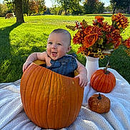 Cooper joined the competition — help win amazing prizes! baby, pumpkin, blanket, flowers, orange, outdoor, grass, dog, sunlight, autumn, nature, smiling, child, fall, overalls, greenery, decoration, happy, park, seasonal