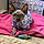 Mary Jane Hope