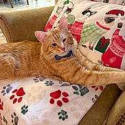 Raja Ragnar joined the competition — help win amazing prizes! cat, orange_tabby, bowtie, blanket, paw_prints, armchair, pillow, holiday, christmas, sweaters, feline, pet, indoor, cozy, relaxed, cute, decor, furniture, animal, mammal