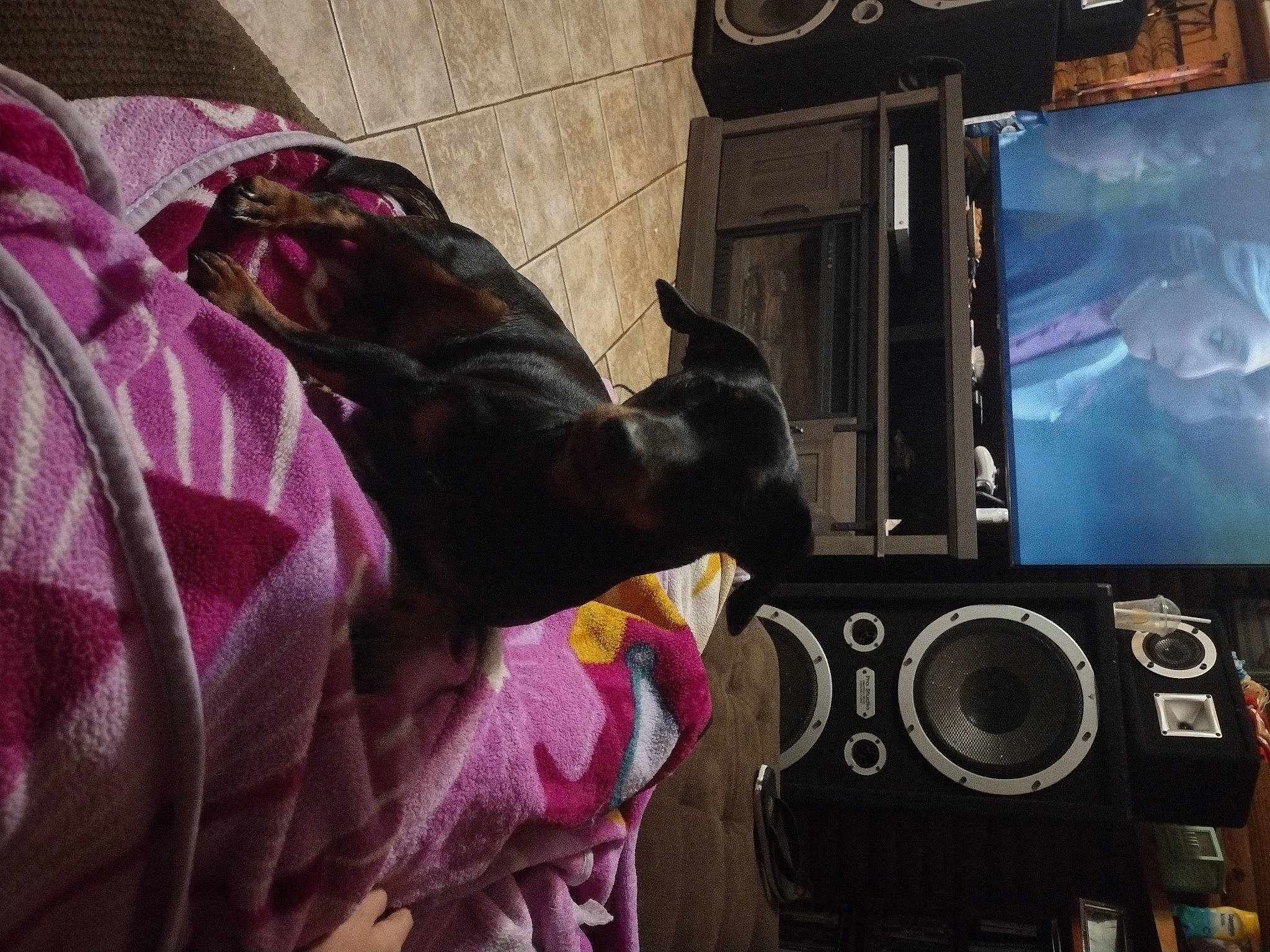 Mudbud joined the competition — help win amazing prizes! audio_equipment, display_device, electronic_instrument, entertainment, event, gadget, gamer, games, loudspeaker, machine, magenta, multimedia, personal_protective_equipment, purple, recreation, room, studio_monitor, subwoofer, television_set, visual_arts