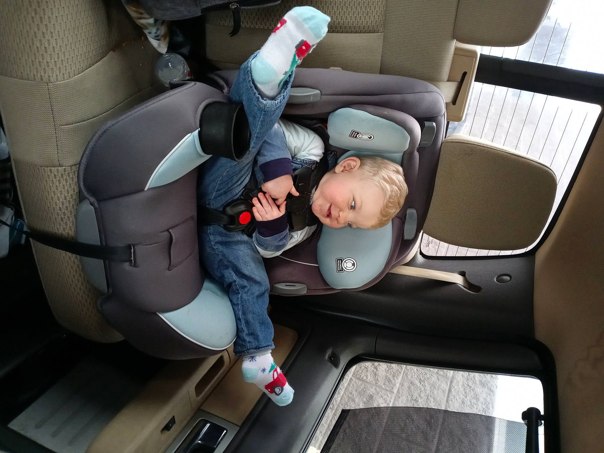 Watson joined the competition — help win amazing prizes! armrest, baby_in_car_seat, baby_products, car_seat, car_seat_cover, carmine, comfort, head_restraint, lap, person, product, seat_belt, service, shoe, vehicle_door